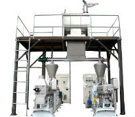 膨化機一（yī）拖二生產線（xiàn）