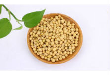 大豆蛋（dàn）白拆絲機