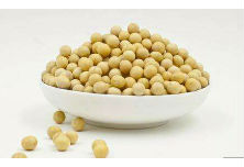 素（sù）食機械